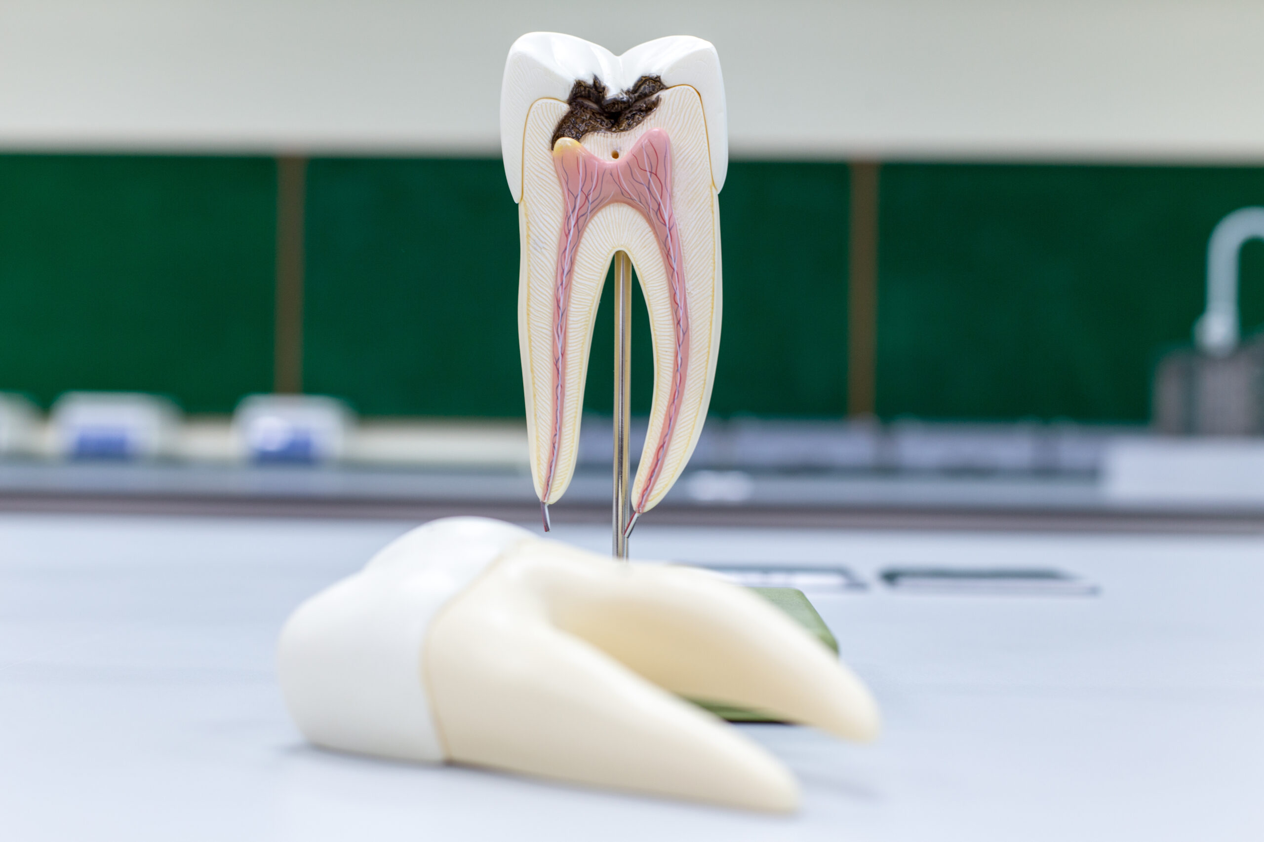 Endodonție